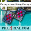 Kamagra Jelly 100Mg Kamagra 15